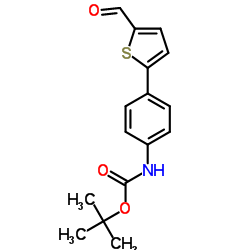 [4-(5-FORMYL-THIOPHEN-2-YL)-PHENYL]-CARBAMIC ACID TERT-BUTYL ESTER结构式