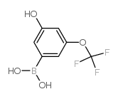 3-羟基-5-(三氟甲氧基)苯硼酸结构式