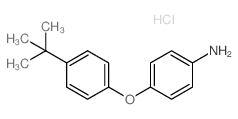 4-[4-(叔丁基)苯氧基]苯胺盐酸盐结构式