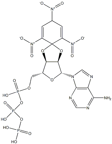 2',3'-O-(2,4,6-三硝基-2,5-环己二烯-1-亚基)腺苷 5'-(三磷酸四氢酯)结构式