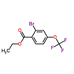 2-Bromo-4-(trifluoromethoxy)benzoic acid ethyl ester Structure