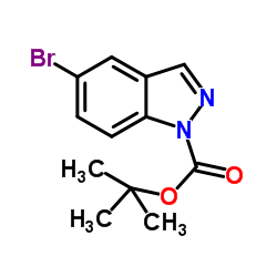 5-溴-1H-吲唑-1-甲酸叔丁酯结构式