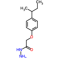 (4-SEC-BUTYL-PHENOXY)-ACETIC ACID HYDRAZIDE picture