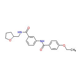 3-[(4-Ethoxybenzoyl)amino]-N-(tetrahydro-2-furanylmethyl)benzamide结构式