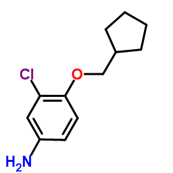 3-Chloro-4-(cyclopentylmethoxy)aniline Structure