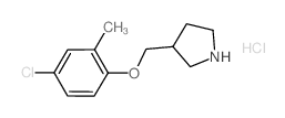 4-Chloro-2-methylphenyl 3-pyrrolidinylmethyl-ether hydrochloride Structure