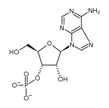 adenosine 3'-monophosphate结构式