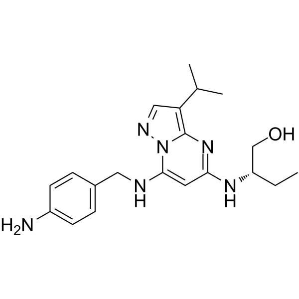 2411021-95-7结构式