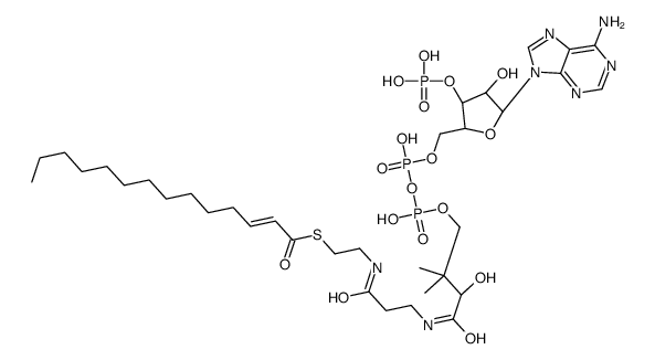 S-[2-[3-[[4-[[[(2R,3S,4R,5R)-5-(6-aminopurin-9-yl)-4-hydroxy-3-phosphonooxyoxolan-2-yl]methoxy-hydroxyphosphoryl]oxy-hydroxyphosphoryl]oxy-2-hydroxy-3,3-dimethylbutanoyl]amino]propanoylamino]ethyl] tetradec-2-enethioate Structure