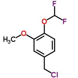 4-(Chloromethyl)-1-(difluoromethoxy)-2-methoxybenzene Structure