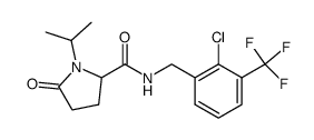 1001389-64-5 structure