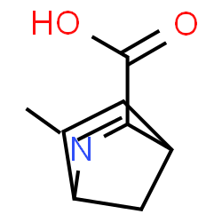 2-Azabicyclo[2.2.1]hept-5-ene-3-carboxylicacid,2-methyl-,exo-(9CI) structure