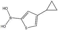 4-(Cyclopropyl)thiophene-2-boronic acid结构式