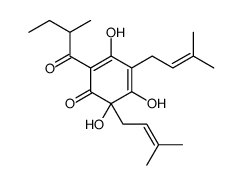 31769-65-0 structure