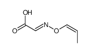 2-prop-1-enoxyiminoacetic acid Structure