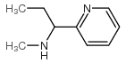 N-methyl-1-pyridin-2-ylpropan-1-amine picture