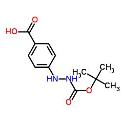 4-[2-(tert-Butoxycarbonyl)hydrazino]benzoic acid Structure