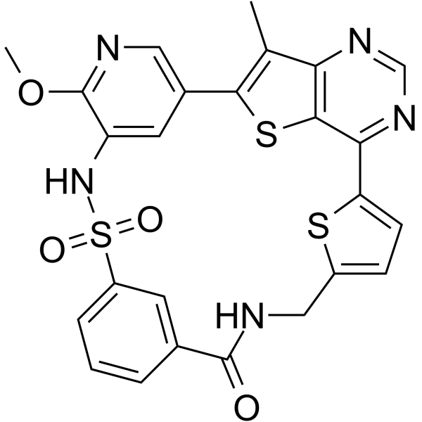 MCX 28 Structure