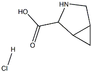 3-azabicyclo[3.1.0]hexane-2-carboxylic acid hydrochloride picture