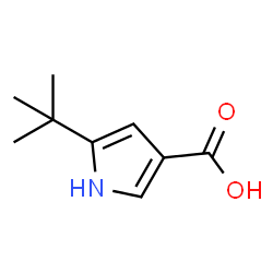 5-Tert-Butyl-1H-Pyrrole-3-Carboxylic Acid picture