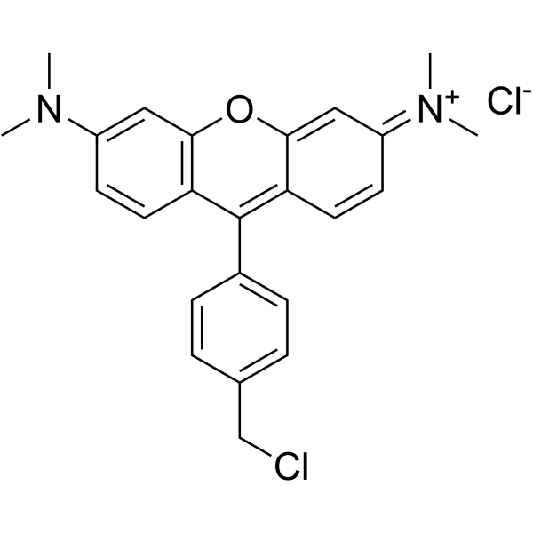 199116-50-2 structure