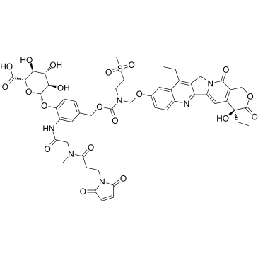 pH-susceptible lactone结构式