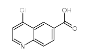 4-Chloroquinoline-6-carboxylic acid picture