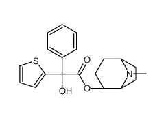 [(1S,4S,5R)-8-methyl-8-azabicyclo[3.2.1]octan-4-yl] (2R)-2-hydroxy-2-phenyl-2-thiophen-2-ylacetate结构式