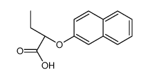 7668-55-5 structure