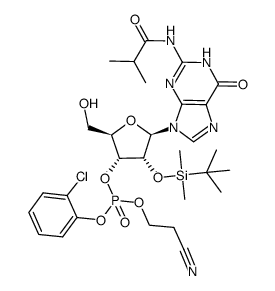 79537-05-6 structure