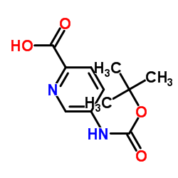 5-((TERT-BUTOXYCARBONYL)AMINO)PICOLINIC ACID Structure