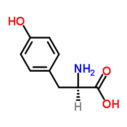 556-02-5 structure