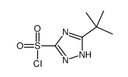 5-tert-butyl-1H-1,2,4-triazole-3-sulfonyl chloride structure