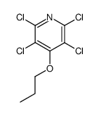 tetrachloro-4-propoxypyridine Structure