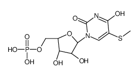 poly-5-methylthiouridylic acid structure