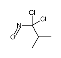 1,1-dichloro-2-methyl-1-nitrosopropane Structure