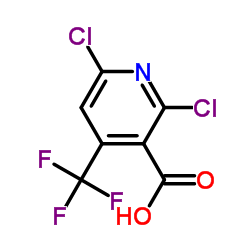 2,6-dichloro-4-(trifluoromethyl)nicotinic acid picture