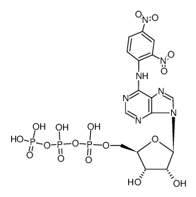 50909-88-1 structure