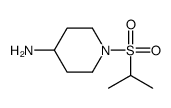 1-propan-2-ylsulfonylpiperidin-4-amine Structure