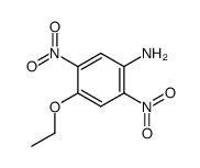 4-ethoxy-2,5-dinitro-aniline结构式