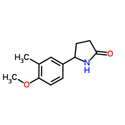 5-(4-Methoxy-3-methylphenyl)-2-pyrrolidinone Structure