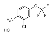 1187386-31-7结构式