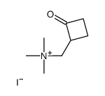 trimethyl-[(2-oxocyclobutyl)methyl]azanium,iodide结构式