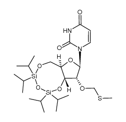 3′,5′-O-(1,1,3,3-tetraisopropyldisiloxane-1,3-diyl)-2′-O-(methylthiomethyl)uridine结构式