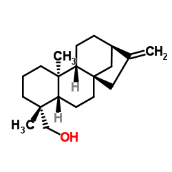 (5β,8α,9β,10α,13α)-Kaur-16-en-18-ol结构式