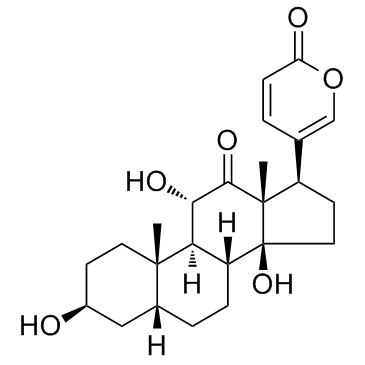 沙蟾蜍精结构式