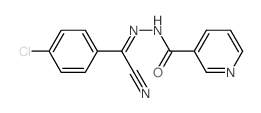 N-[[(4-chlorophenyl)-cyano-methylidene]amino]pyridine-3-carboxamide picture