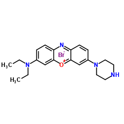 911708-75-3 structure