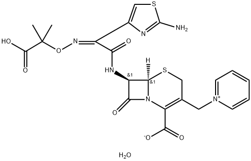 CeftazidiMe hydrate picture