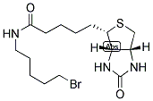 1217605-72-5 structure